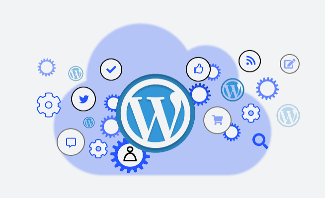 Business Website Design Australia