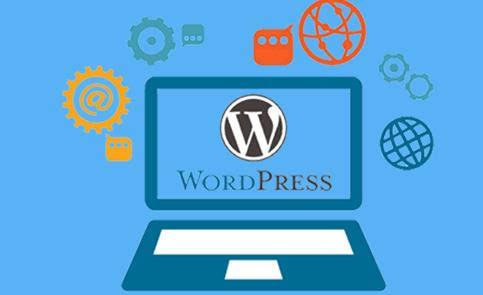 Business Websites