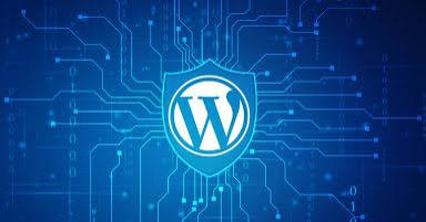 Headless WordPress Development Australia